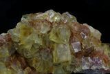 Lustrous, Yellow Cubic Fluorite Crystals - Morocco #37484-1